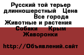 Русский той-терьер длинношерстный › Цена ­ 7 000 - Все города Животные и растения » Собаки   . Крым,Жаворонки